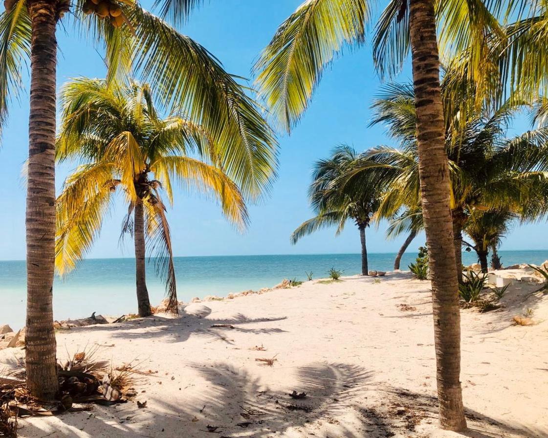 Corazon Mexicano Holbox 外观 照片